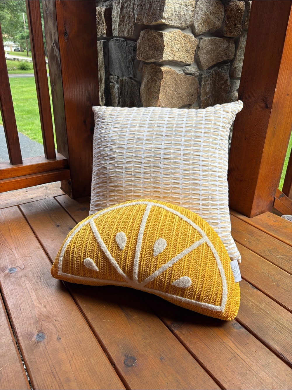 Lemon Slice Decorative Throw Pillow - Yellow by